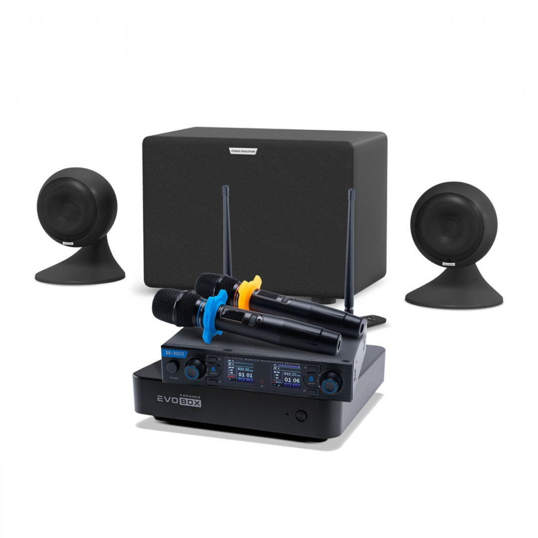 караоке-комплект EVOBOX + EvoSound Sphere 2.1 в Ханты-Мансийске