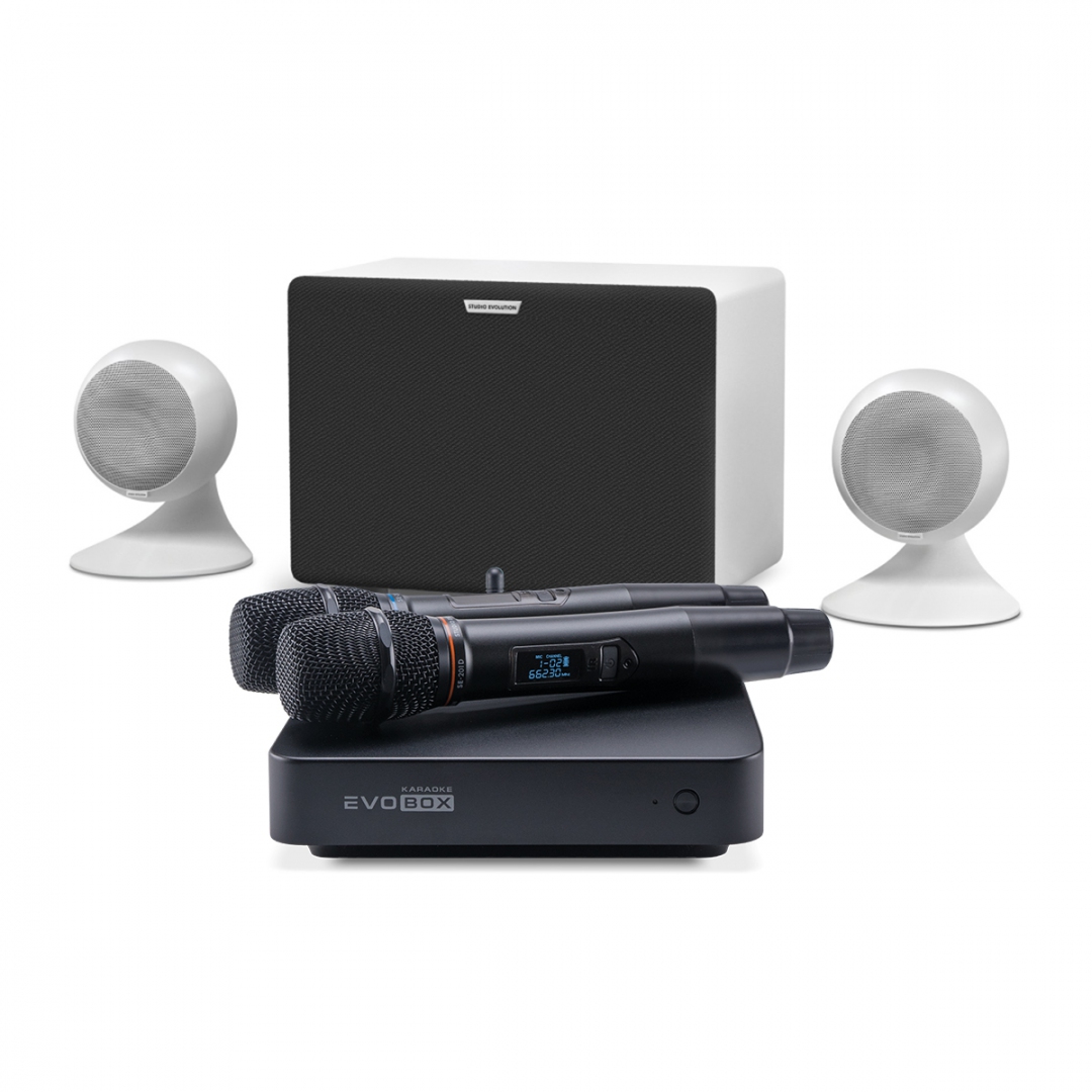караоке-комплект EVOBOX Classic + EvoSound Sphere 2.1 в Ханты-Мансийске