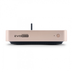 EVOBOX Plus караоке-система для дома в Ханты-Мансийске